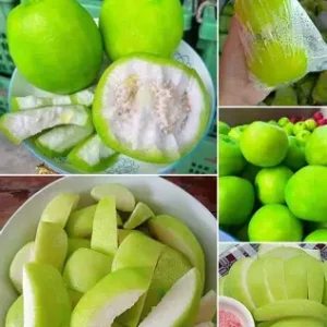 ฝรั่งแช่บ๊วย